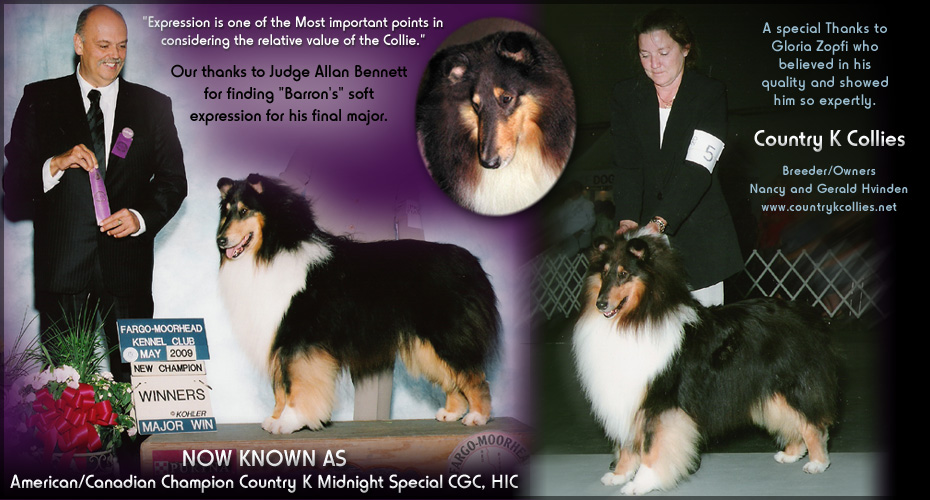 Country K Collies -- AM/CAn CH Country K Midnight Special CGC, HIC