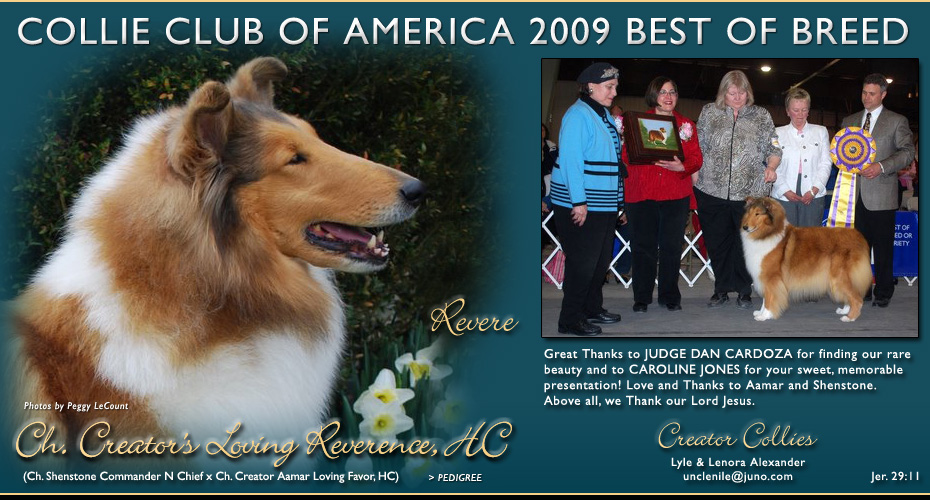 Creator Collies -- CH Creator's Loving Reverence, HC