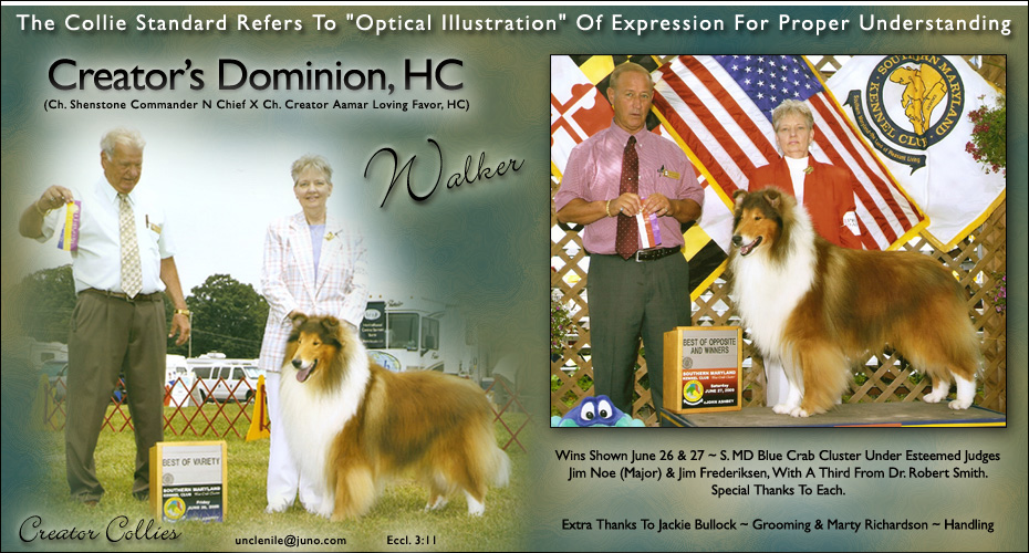 Creator Collies -- Creator's Dominion, HC