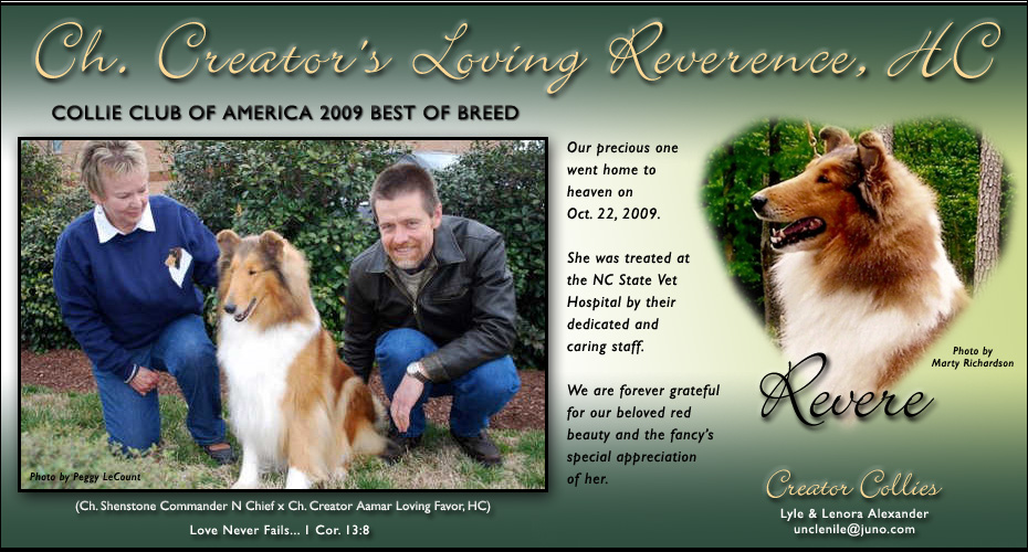 Creator Collies --In loving memory of CH Creator's Loving Reverence, HC