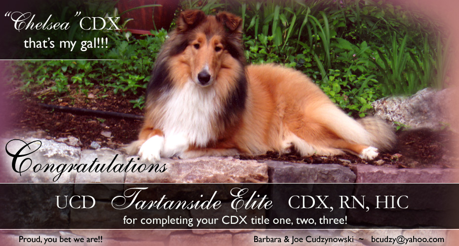 Barbara and Joe Cudzynowksi -- UCD Tartanside Elite CDX, RN, HIC