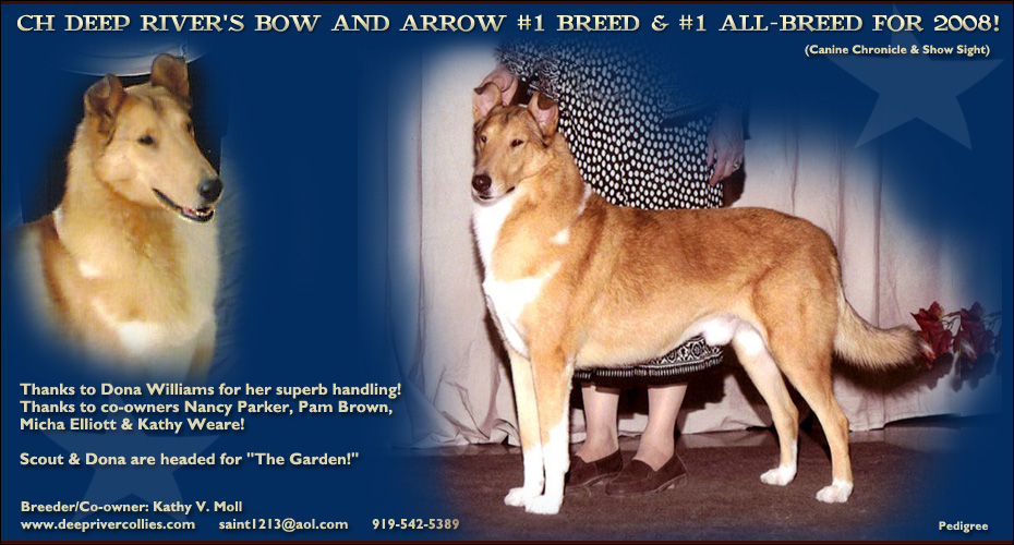 Deep River -- CH Deep River's Bow And Arrow