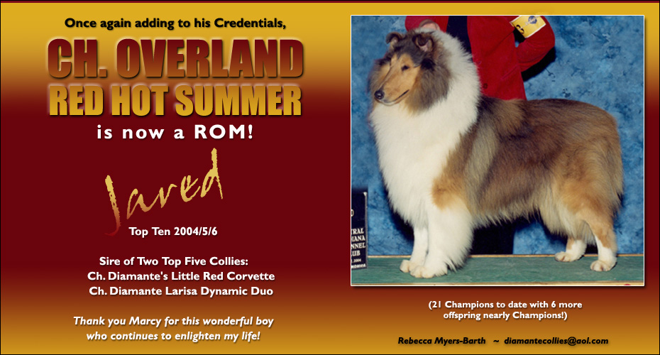 Diamante Collies -- CH Overland Red Hot Summer ROM