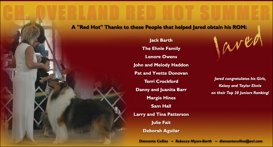 Diamante Collies -- CH Overland Red Hot Summer ROM