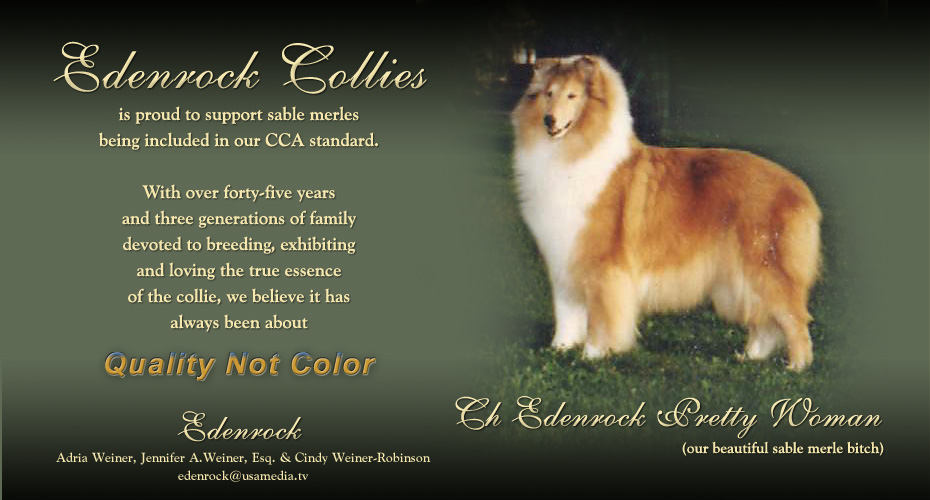 Edenrock Collies -- CH Edenrock Pretty Woman