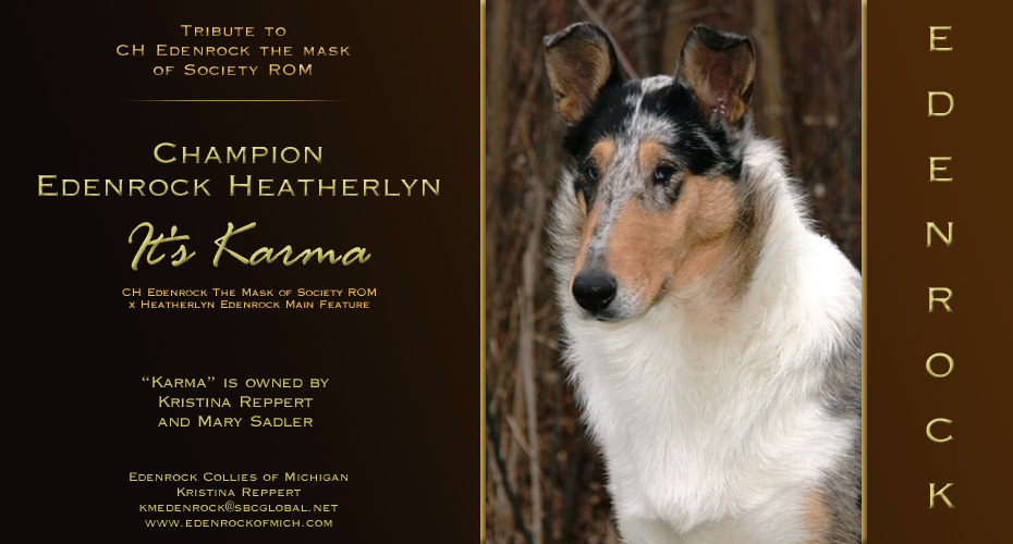 Edenrock Collies Of Michigan -- Tribute to CH Edenrock The Mask Of Society, ROM -- CH Edenrock Heatherlyn It's Karma