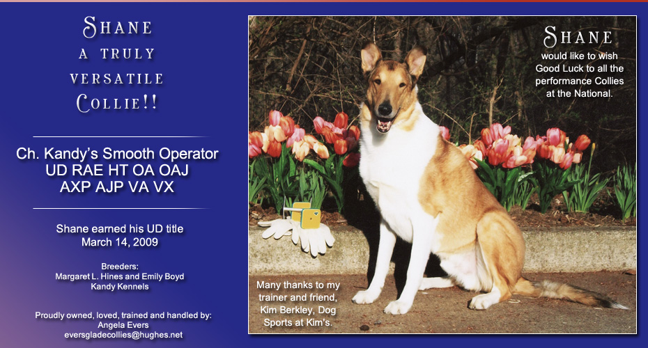 Angela Evers -- CH Kandy&rsquo;s Smooth Operator UD RAE HT OA OAJ AXP AJP VA VX