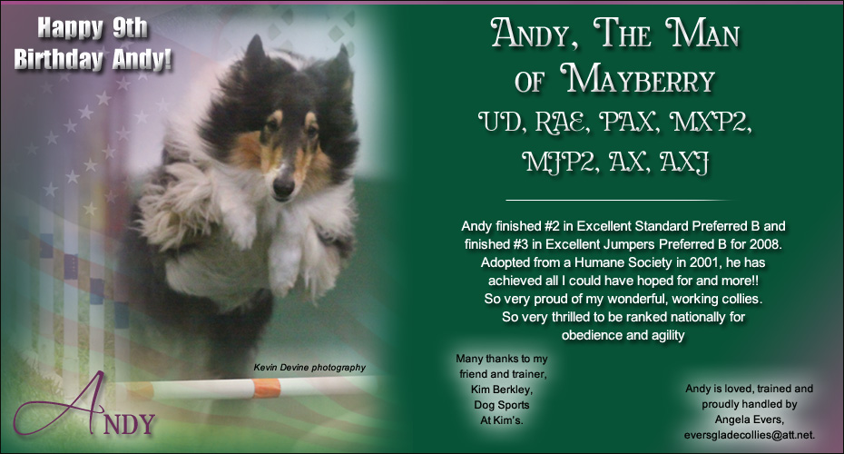 Angela Evers -- Andy, The Man of Mayberry UD, RAE, PAX, MXP2, MJP2  AX, AXJ  