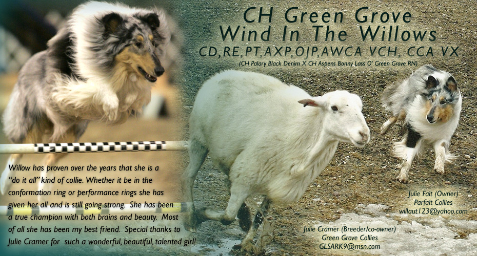 Julie Fait / Julie Cramer -- CH Green Grove Wind In The Willows CD,RE,PT,AXP,OJP,AWCA VCH, CCA VX