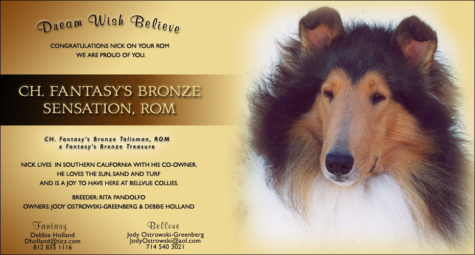 Bellvue/Fantasy -- Tribute to CH Fantasy's Bronze Sensation, ROM