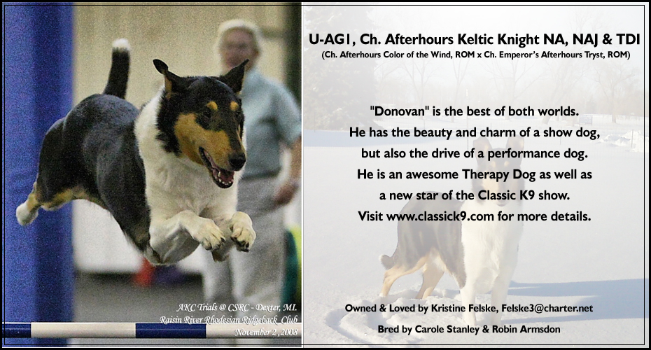 Kristine Felske -- U- AGI, Ch. Afterhours Keltic Knight NA, NAJ & TDI