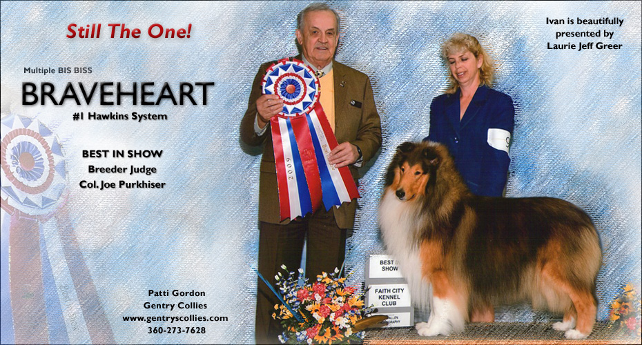 Gentry -- CH Gentry's Braveheart