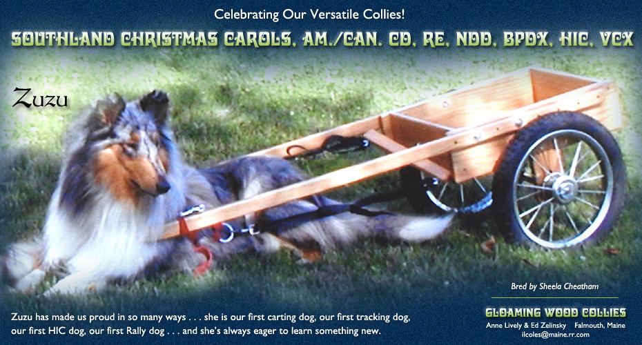 Gloaming Wood Collies -- Southland Christmas Carols, Am./Can. CD, RE, NDD, BPDX, HIC, VCX