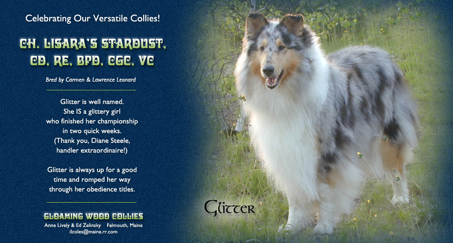 Gloaming Wood Collies -- Ch. Lisara&rsquo;s Stardust, CD, RE, BPD, CGC, VC 