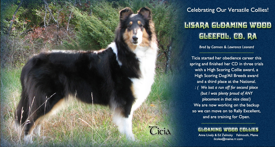 Gloaming Wood Collies -- Lisara Gloaming Wood Gleeful, CD, RA