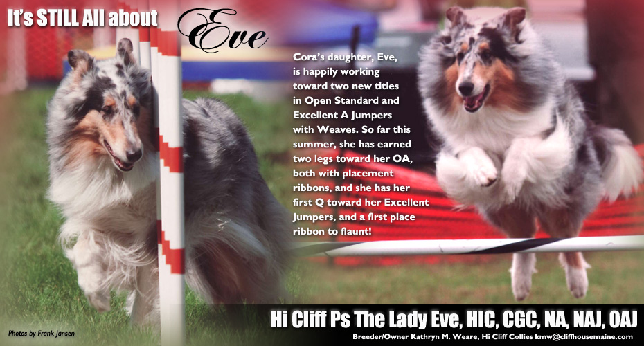 Hi Cliff Collies -- Hi Cliff Ps The Lady Eve, HIC, CGC, NA, NAJ. OAJ