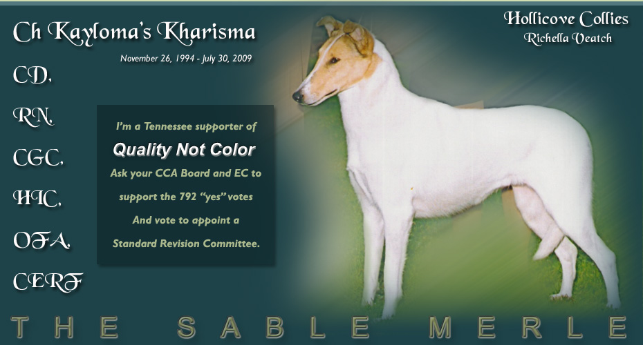 Hollicove Collies/ Quality Not Color -- In Memory of CH Kayloma's Kharisma, CD, RN, GCG, HIC, OFA, CERF