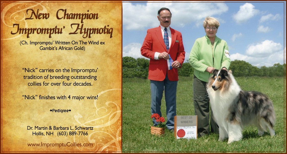 Impromptu' Collies -- CH Impromptu' Hypnotiq