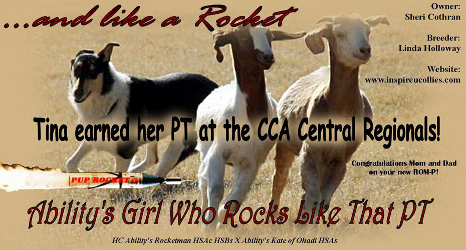 Inspire U Collies -- Ability's Girl Who Rocks Like That PT