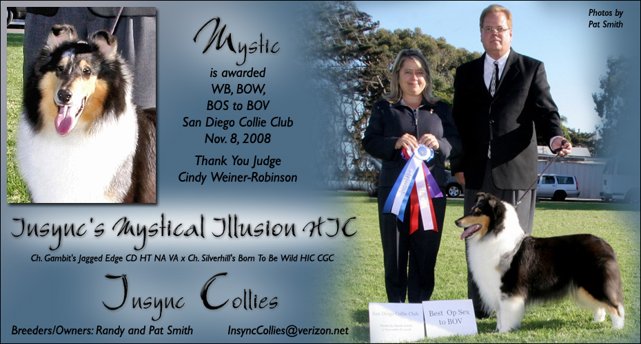 Insync -- Insync's Mystical Illusion HIC