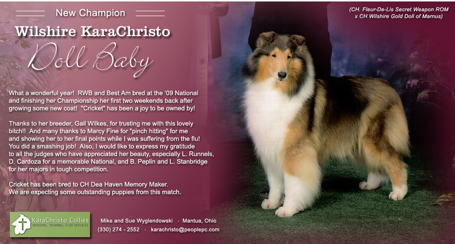 Kara Christo Collies -- CH Wilshire KaraChristo Doll Baby