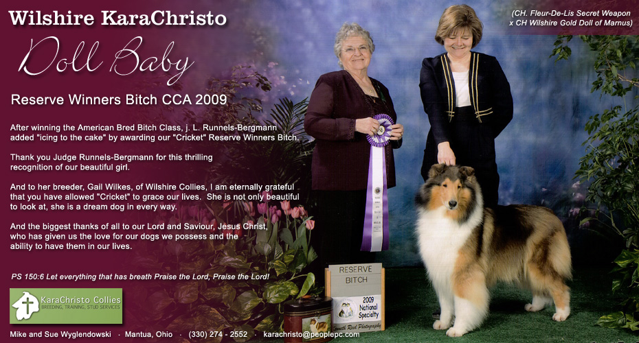 Kara Christo Collies -- Wilshire KaraChristo Doll Baby