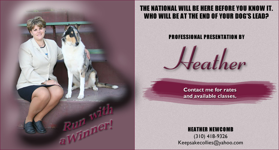 Heather Newcomb -- Professional Presentation