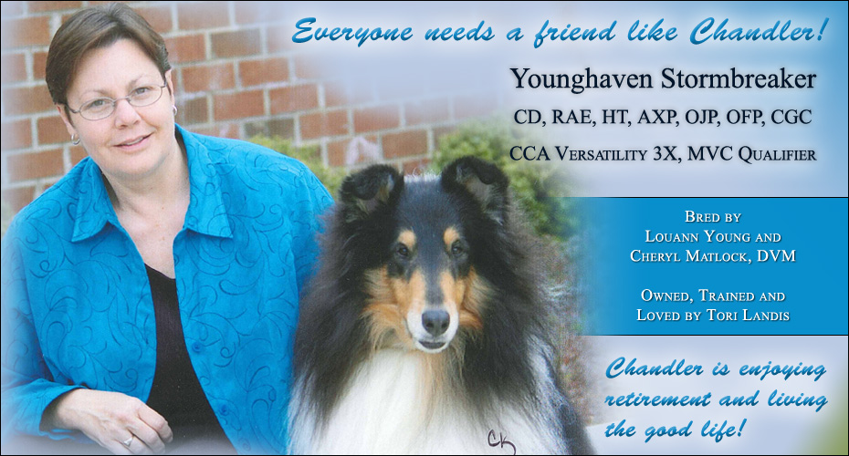 Tori Landis -- Younghaven Stormbreaker CD, RAE, HT, AXP, OJP, CGC