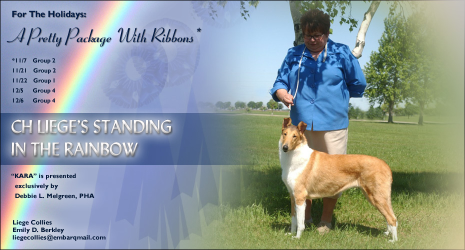 Liege Collies -- CH Liege's Standing In The Rainbow