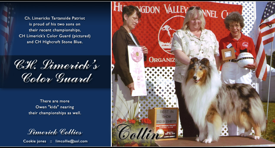 Limerick -- CH Limerick's Color Guard