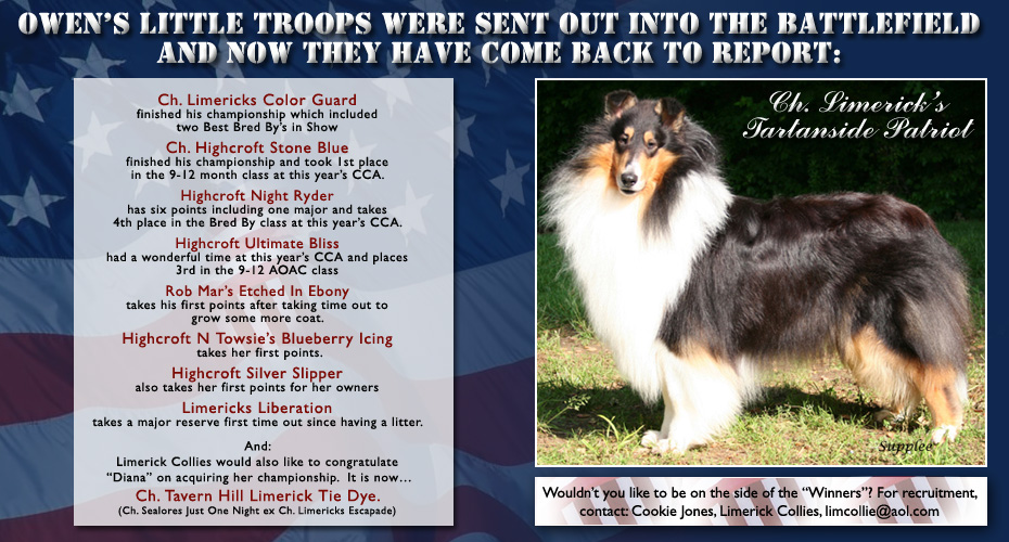 Limerick Collies -- CH Limerick's Tartanside Patriot