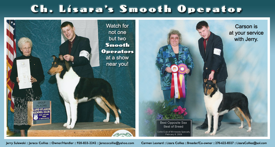 Lisara Collies / Jereco Collies -- CH Lisara's Smooth Operator