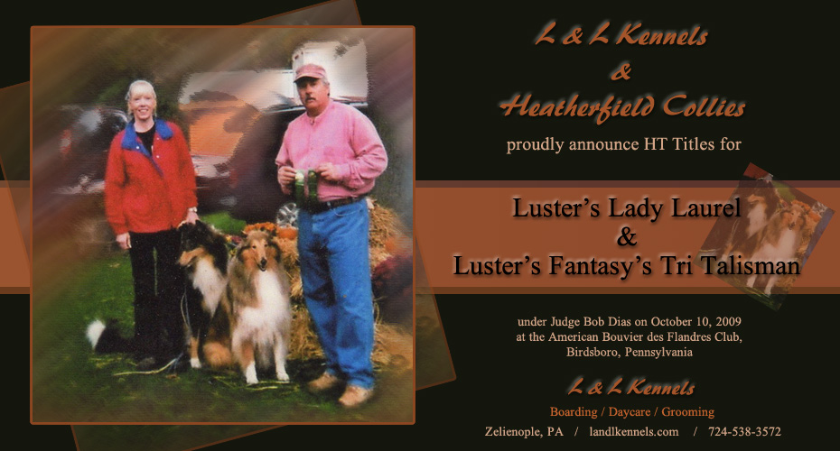L & L Kennels and Heatherfield Collies  -- Luster's Lady Laurel and Luster's Fantasy's Tri Talisman