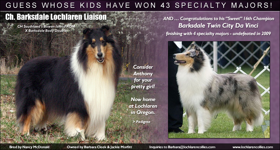 Lochlaren -- CH Barksdale Lochlaren Liaison