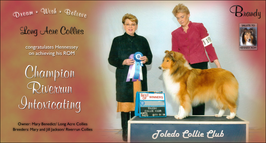 Long Acre -- CH Riverrun Intoxicating