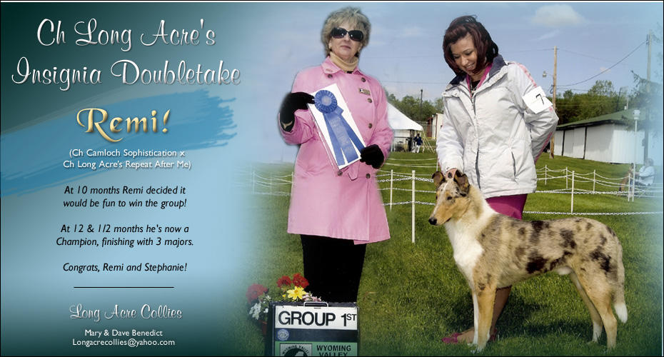 Long Acre Collies -- CH Long Acre's Insignia Doubletake