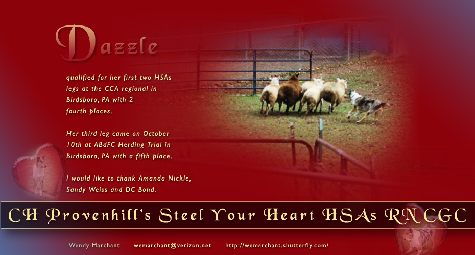 Wendy Marchant -- CH Provenhill's Steel Your Heart HSAs RN CGC