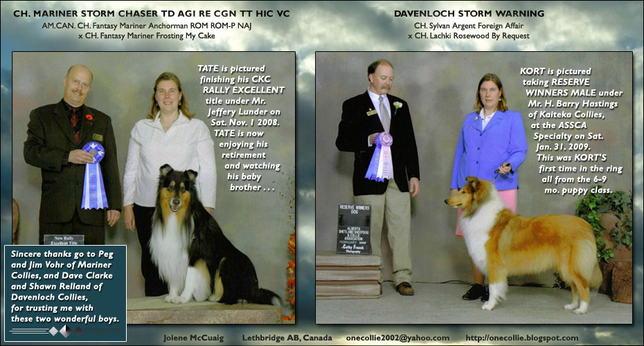 Jolene McCuaig -- CH Marine Storm Chaser, TD, AGI, RE, CGN, TT, HIC, VC and Davenloch Storm Warning