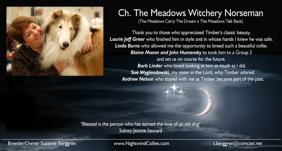 Nightwind Collies -- Millcreek's Angel Of Fate