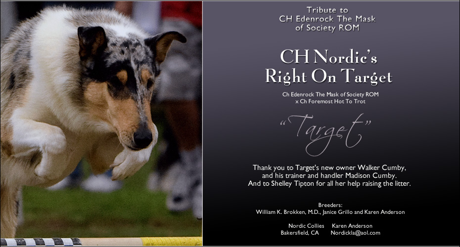 Nordic Collies  -- Tribute to CH Edenrock The Mask Of Society, ROM -- CH Nordic's Right On Target