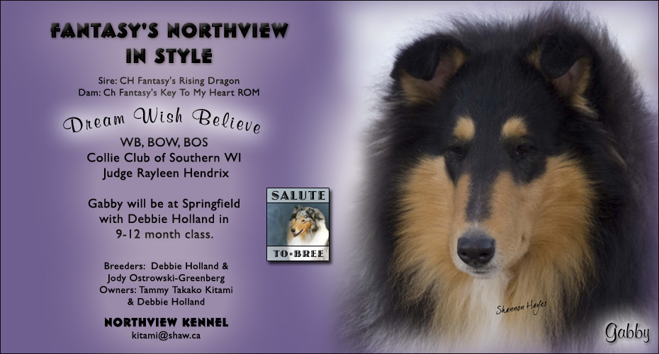 Northview -- Fantasy's Northview In Style