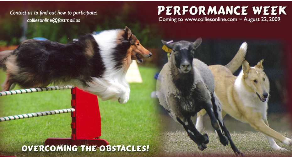 Performance Week -- Coming to Collies Online August 22, 2009