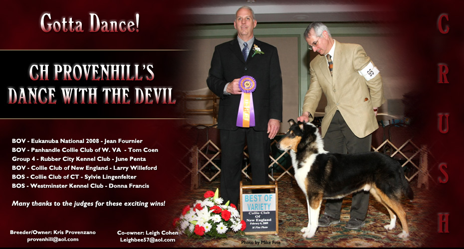 Provenhill Collies -- CH Provenhill's Dance With The Devil