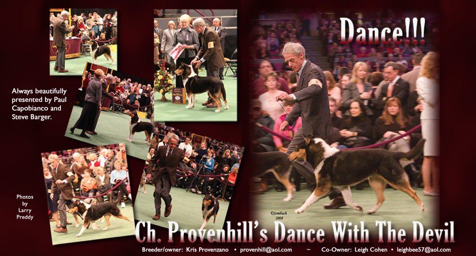 Provenhill Collies -- CH Provenhill's Dance With The Devil