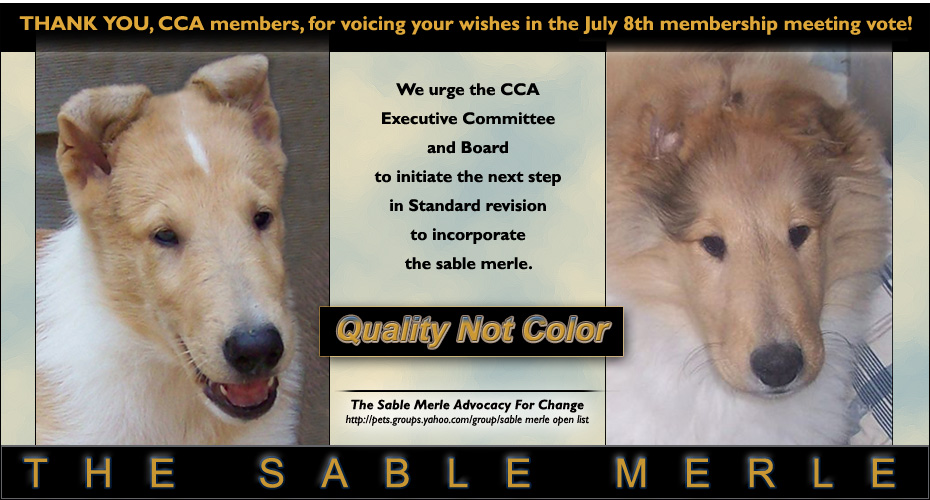 The Sable Merle Advocacy For Change -- Performance Collies & Their Owners Support Action on Standard Revision