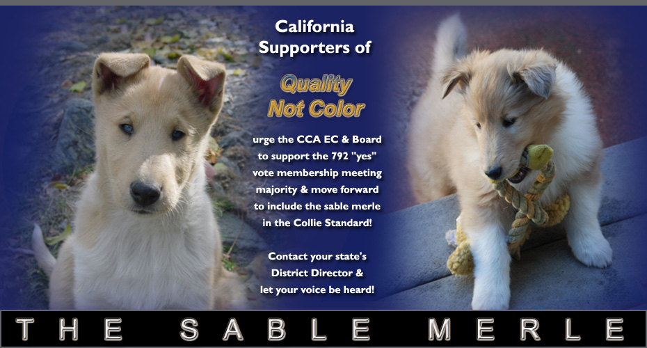 California Supporters Of Quality Not Color