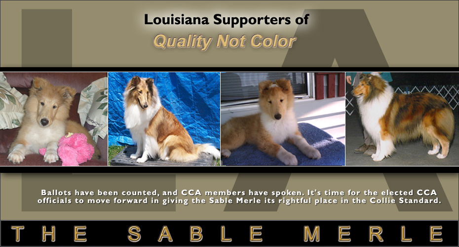 Louisiana Supporters Of Quality Not Color