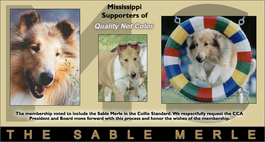 Mississippi Supporters Of Quality Not Color