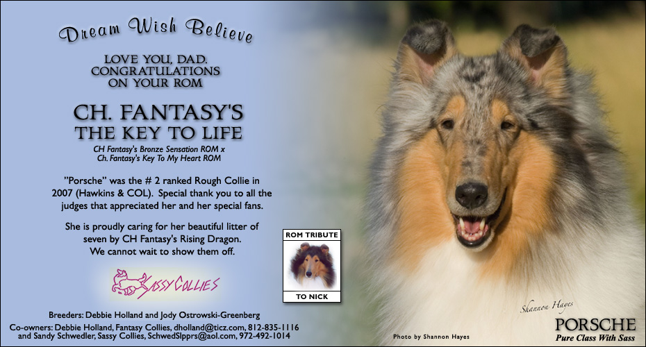 Sassy/Fantasy -- CH Fantasy's The Key To Life