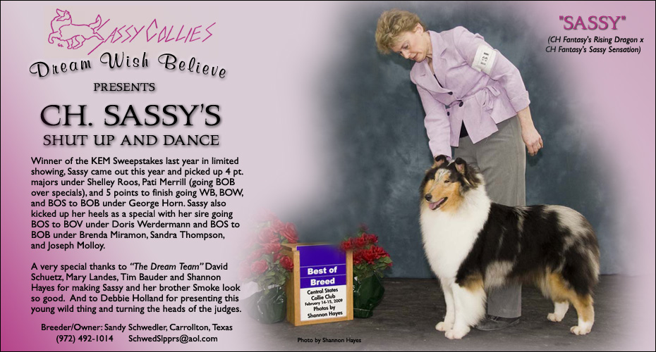 Sassy Collies -- CH Sassy's Shut Up And Dance